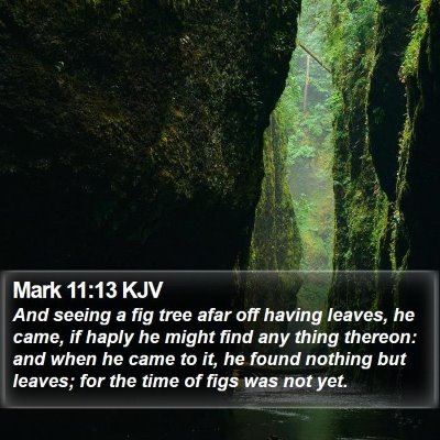 Mark 11:13 KJV Bible Verse Image