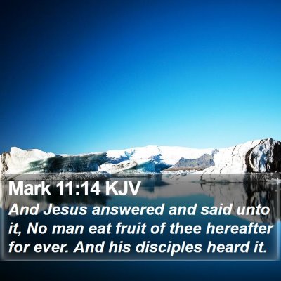 Mark 11:14 KJV Bible Verse Image