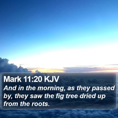 Mark 11:20 KJV Bible Verse Image