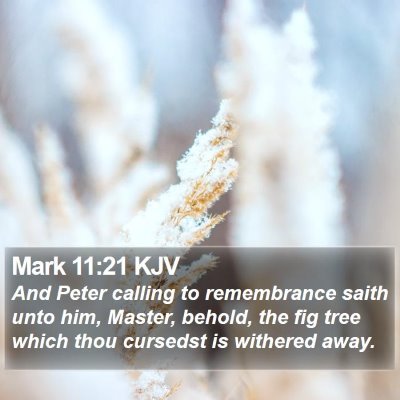 Mark 11:21 KJV Bible Verse Image
