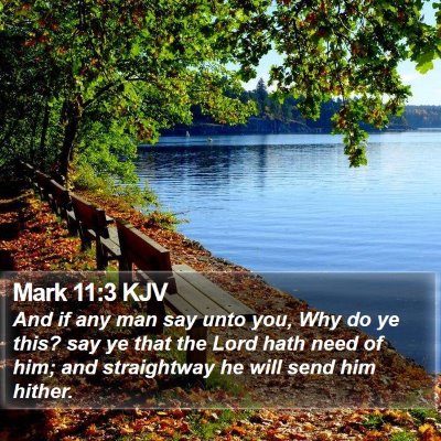 Mark 11:3 KJV Bible Verse Image