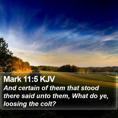 Mark 11:5 KJV Bible Verse Image