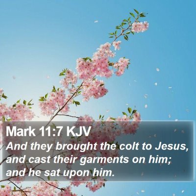 Mark 11:7 KJV Bible Verse Image