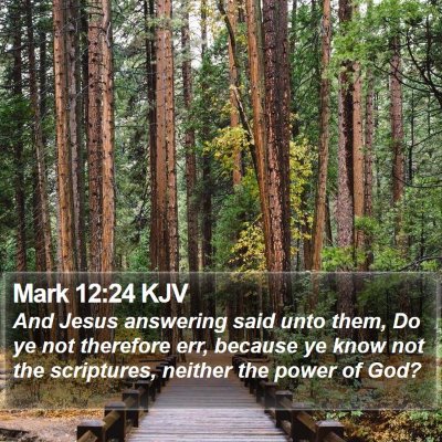 Mark 12:24 KJV Bible Verse Image
