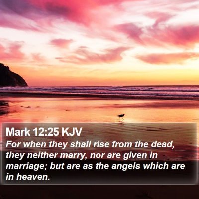 Mark 12:25 KJV Bible Verse Image