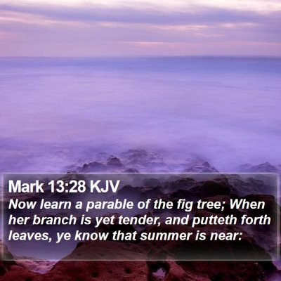 Mark 13:28 KJV Bible Verse Image