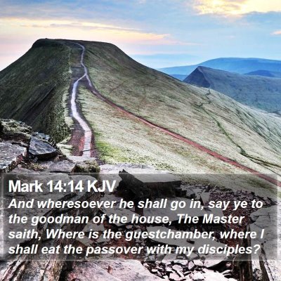Mark 14:14 KJV Bible Verse Image