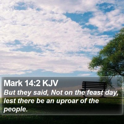 Mark 14:2 KJV Bible Verse Image