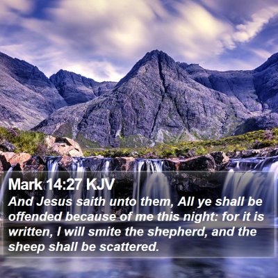 Mark 14:27 KJV Bible Verse Image