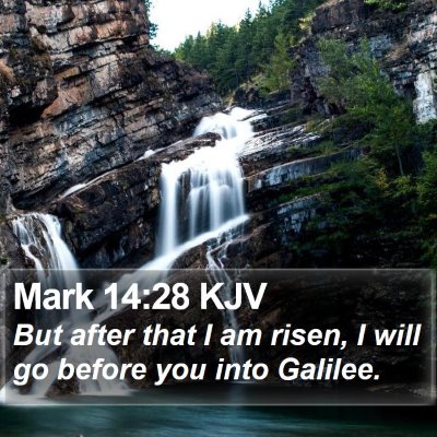 Mark 14:28 KJV Bible Verse Image