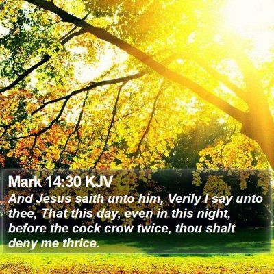 Mark 14:30 KJV Bible Verse Image