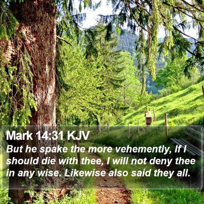 Mark 14:31 KJV Bible Verse Image