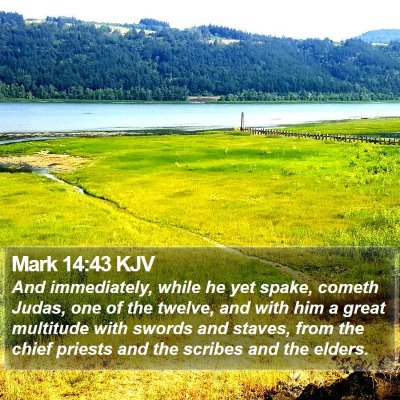Mark 14:43 KJV Bible Verse Image