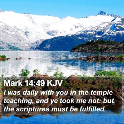 Mark 14:49 KJV Bible Verse Image