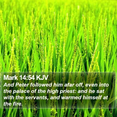 Mark 14:54 KJV Bible Verse Image