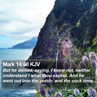 Mark 14:68 KJV Bible Verse Image