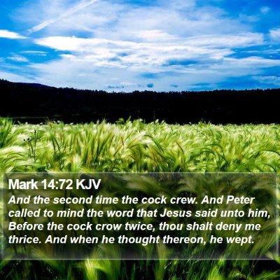 Mark 14:72 KJV Bible Verse Image