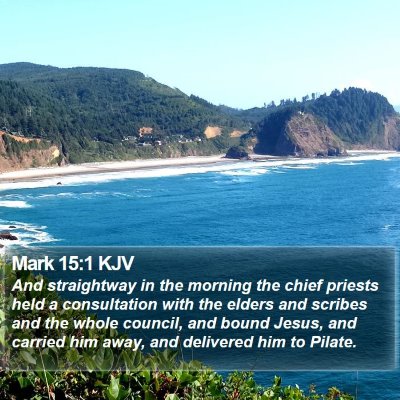 Mark 15:1 KJV Bible Verse Image