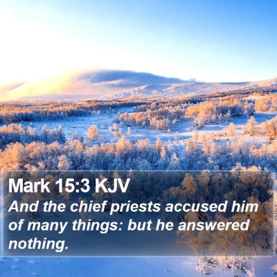 Mark 15:3 KJV Bible Verse Image