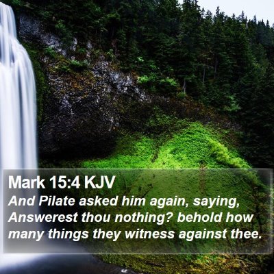 Mark 15:4 KJV Bible Verse Image
