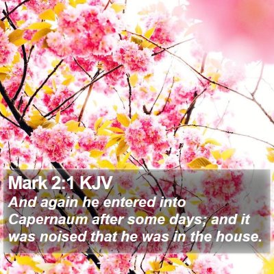 Mark 2:1 KJV Bible Verse Image