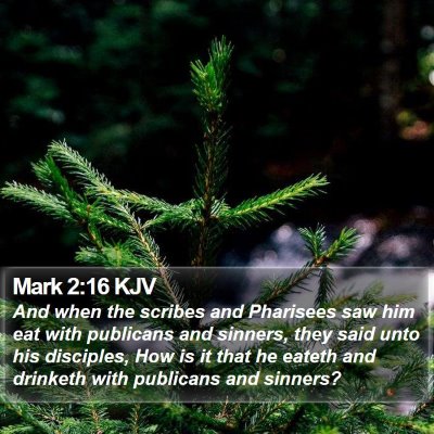 Mark 2:16 KJV Bible Verse Image
