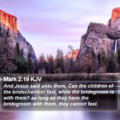 Mark 2:19 KJV Bible Verse Image