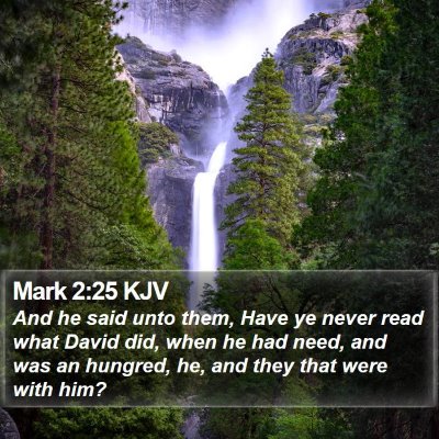 Mark 2:25 KJV Bible Verse Image