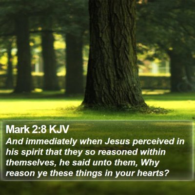 Mark 2:8 KJV Bible Verse Image