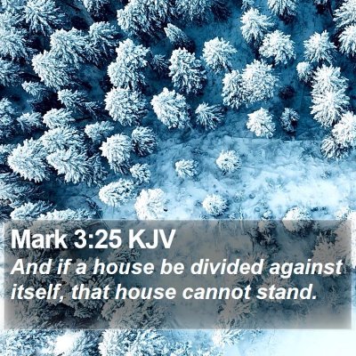 Mark 3:25 KJV Bible Verse Image