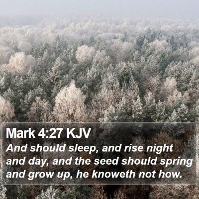 Mark 4:27 KJV Bible Verse Image