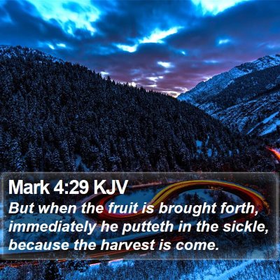 Mark 4:29 KJV Bible Verse Image