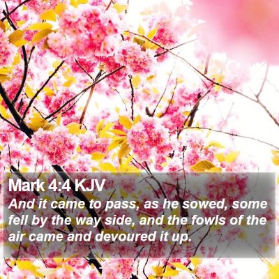 Mark 4:4 KJV Bible Verse Image