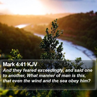 Mark 4:41 KJV Bible Verse Image