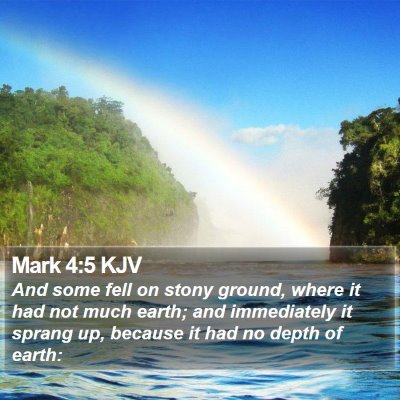 Mark 4:5 KJV Bible Verse Image