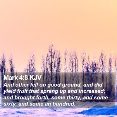 Mark 4:8 KJV Bible Verse Image