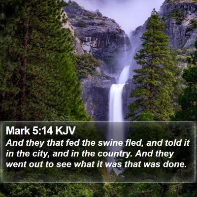 Mark 5:14 KJV Bible Verse Image