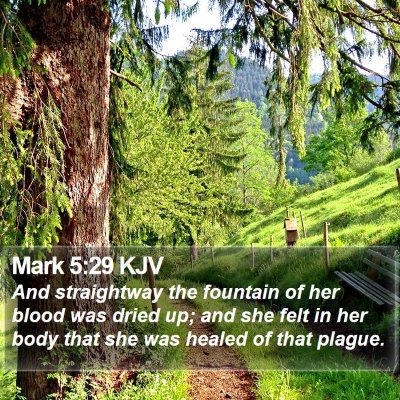 Mark 5:29 KJV Bible Verse Image