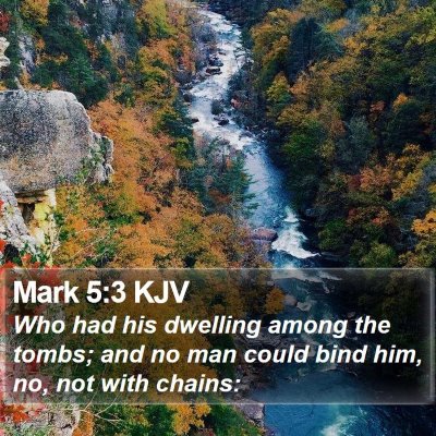 Mark 5:3 KJV Bible Verse Image