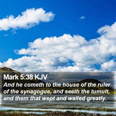 Mark 5:38 KJV Bible Verse Image