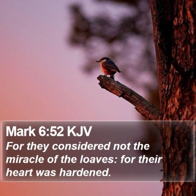 Mark 6:52 KJV Bible Verse Image