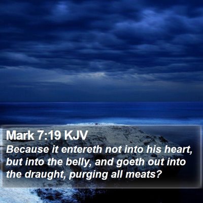 Mark 7:19 KJV Bible Verse Image