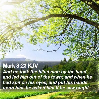 Mark 8:23 KJV Bible Verse Image