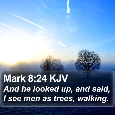 Mark 8:24 KJV Bible Verse Image