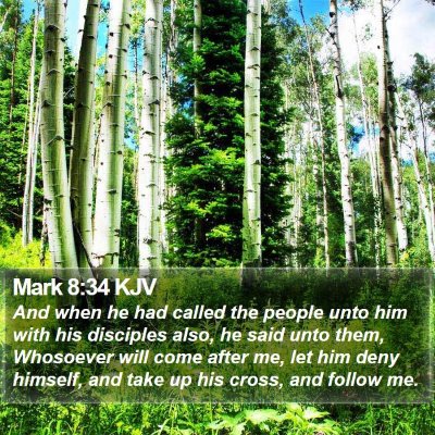 Mark 8:34 KJV Bible Verse Image