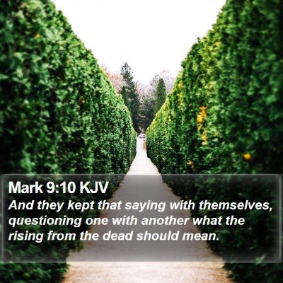 Mark 9:10 KJV Bible Verse Image