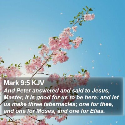 Mark 9:5 KJV Bible Verse Image