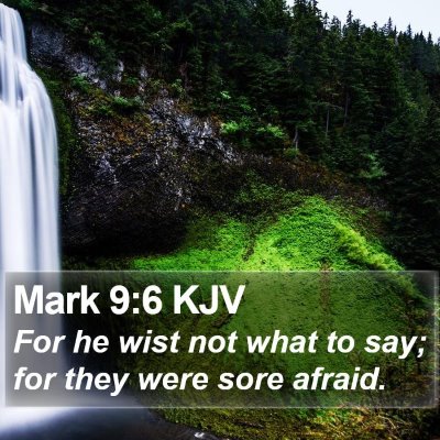 Mark 9:6 KJV Bible Verse Image