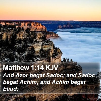 Matthew 1:14 KJV Bible Verse Image