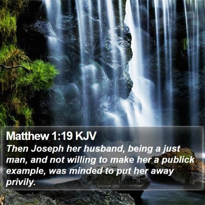 Matthew 1:19 KJV Bible Verse Image